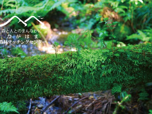 ながはま森林マッチングセンター