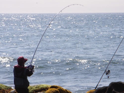 釣り好きが集まる釣りスポットもあります。