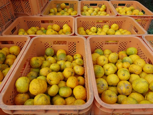 仕事終わりにはこの達成感!