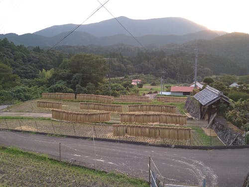 稲刈り後の風景