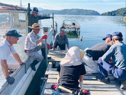 湖上での地元の方たちの作業風景