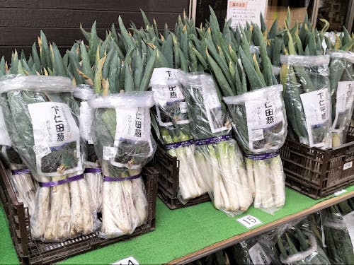 物産コーナーには下仁田ねぎがたくさん。収穫真っ盛りです!