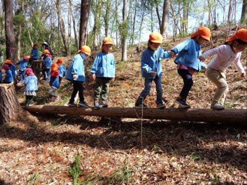 近所のグレースの森で遊ぶ園児、森に行くと自然と遊びがはじまります