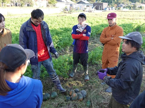 豊岡の協力隊の仲間たちと農業体験
