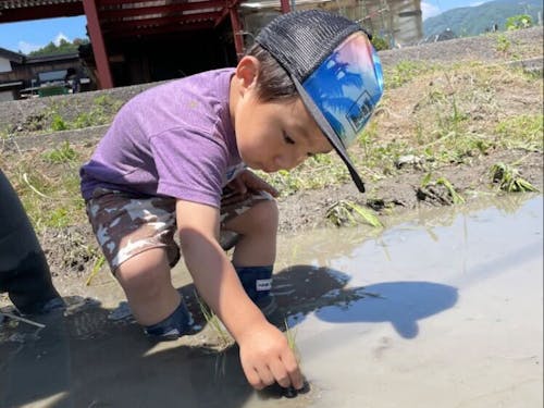 「農業体験塾すくすく」のひとコマ