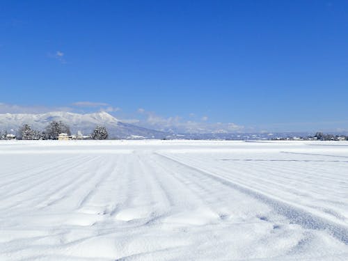 雪の積もった田んぼ
