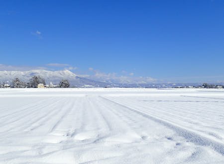 雪の積もった田んぼ