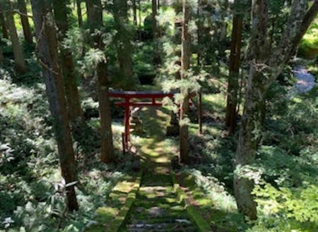 「Little Japan Echigo」近くの神社