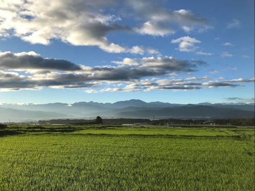 雄大な伊那の自然を前にすると、山や森や川を守っていきたいと日々強く感じます