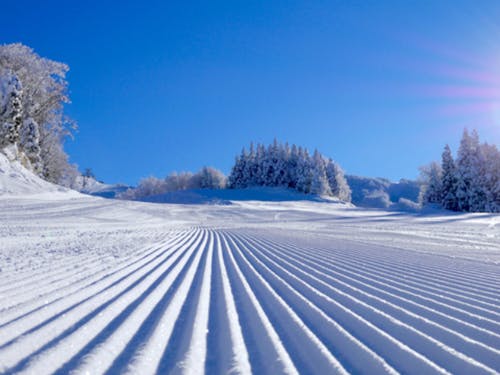 スキージャム勝山!#ビッグゲレンデ