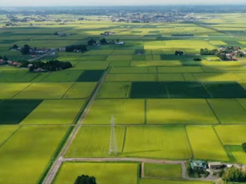 町の面積の約7割を占める豊かな田畑が特徴のひとつ。