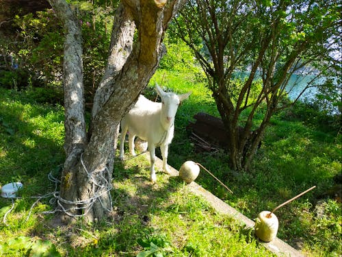 海・山・田んぼ、、ぼーっとしがいのある自然に溢れた町です