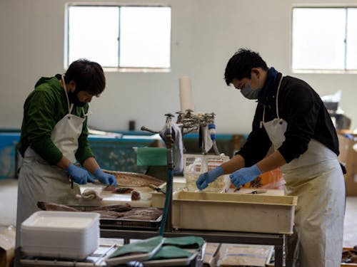 水産加工会社で魚を加工するようす