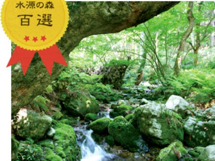 毛無山ブナ林。岡山県下流域、岡山市等に流れていきます。