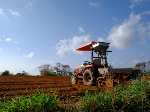 赤土の大地は栄養分たっぷり!