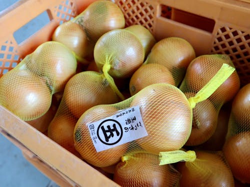 栄養と愛情満点!「まるご」玉ねぎづくり