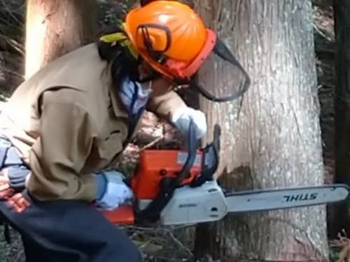 林業振興として自伐型林業をしています