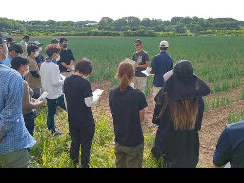 ネギ畑の見学風景です!農家さんが優しく教えてくれます!