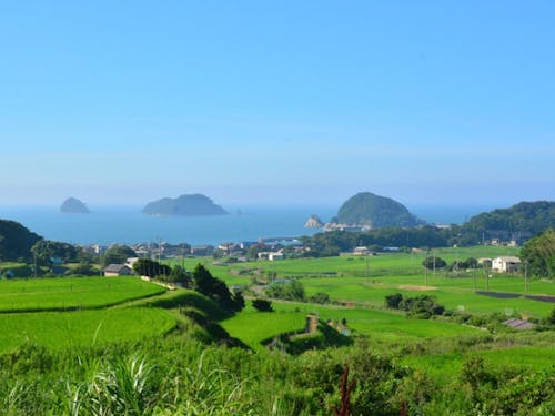 舞鶴市三浜地区 海と棚田の景色が美しいです。釣りも楽しめます。