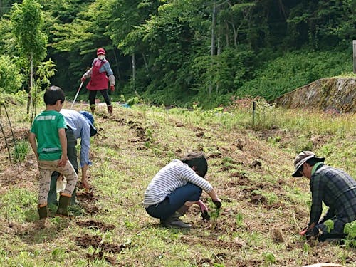 通学路にある荒廃地を整備して花でいっぱいにしよう作戦