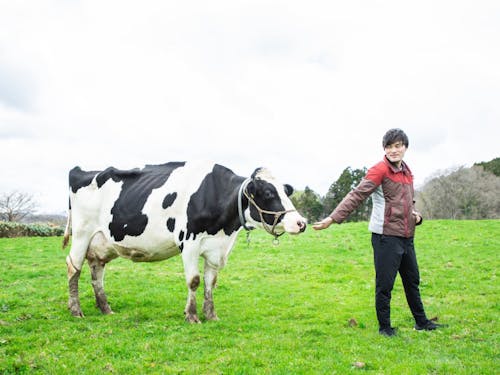 牛は意外になつっこくて可愛いです