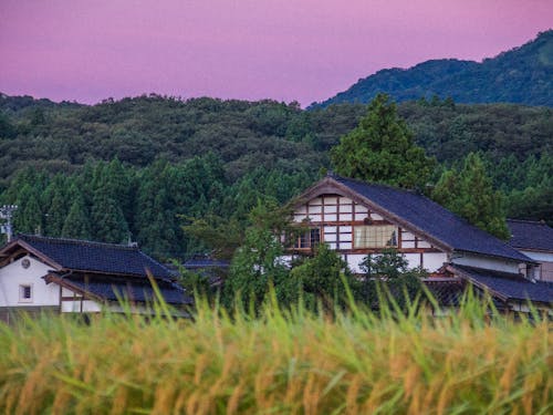 南砺市内のゲストの古民家と秋の空