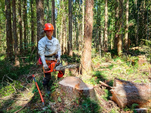 林業をしたくて移住してくる若者も活躍しています