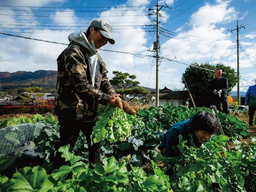 地元の農家さんのもとで研修できるかもしれません🌱