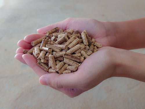 日本のドバイになる日も?写真はペレット燃料です。