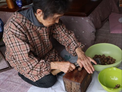 お料理名人のKさんが沢胡桃の殻を割っているところ