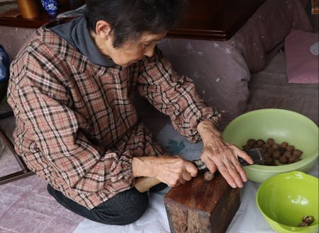 お料理名人のKさんが沢胡桃の殻を割っているところ