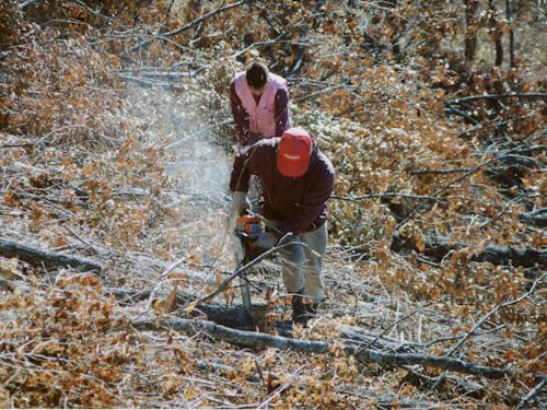 「林業立村」を掲げる諸塚村の基盤産業である林業の様子