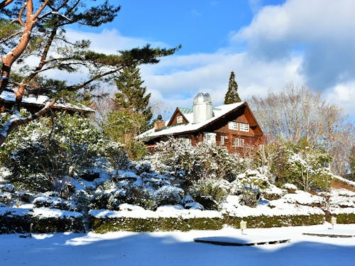 冬のキャンプ場「池の窪グリーンパーク」
