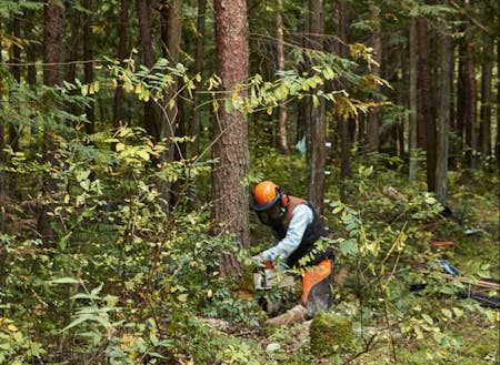 林業体験で森林の課題を発見。