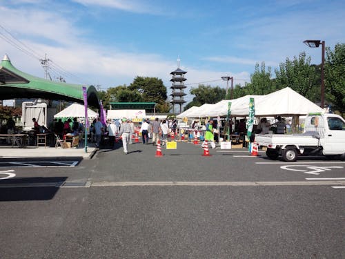 道の駅ぶどう祭りの様子