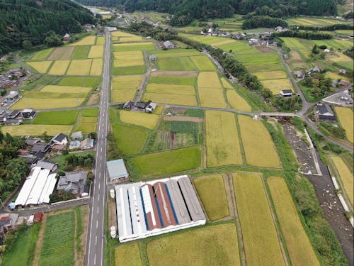 加茂地域の風景