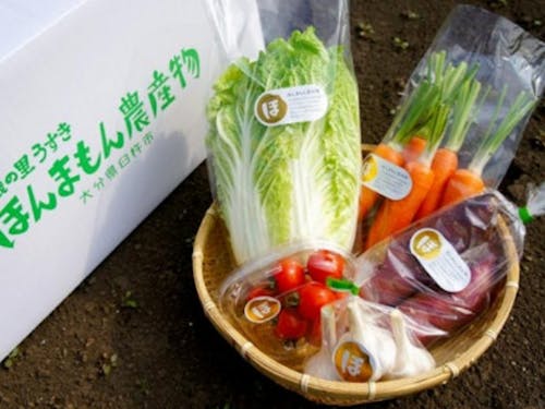 化学肥料と化学合成農薬不使用のほんまもん農産物