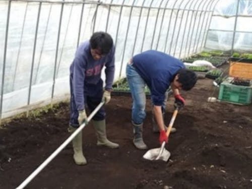 地域おこし協力隊の研修の様子。土づくりから学びます