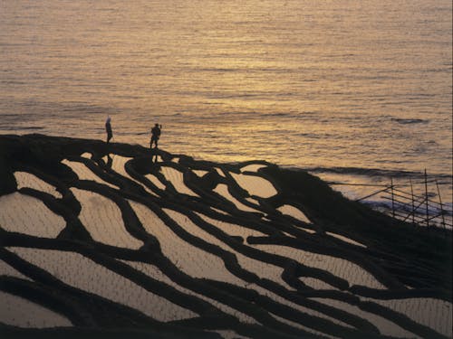 雄大な里山里海の風景