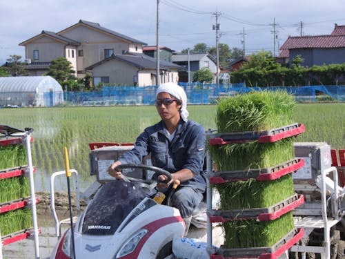 農　業：福居　弘輔さん　(株)六星