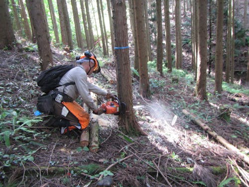 林　業：今井　智彦さん