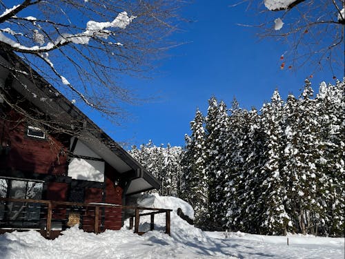 積雪量が多い所、少ない所もお伝えいたします⛄