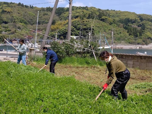 シェアハウスに畑がついているところもあります!