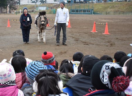 小・中学校では馬を活用した授業が行われています