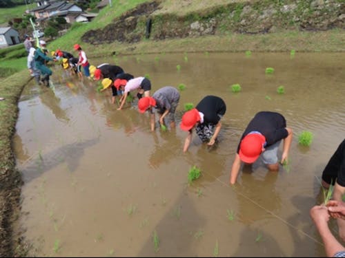 二里町中里地区の棚田支援活動