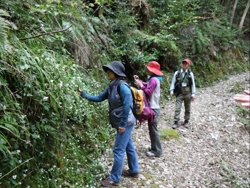 森林セラピーのようす