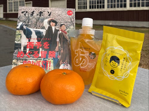 予約特典はこちら!