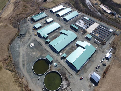 大関牧場の空撮写真。