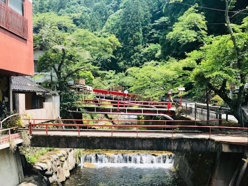 かつて賑わっていた温泉街