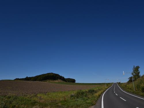 町内の夏の景色